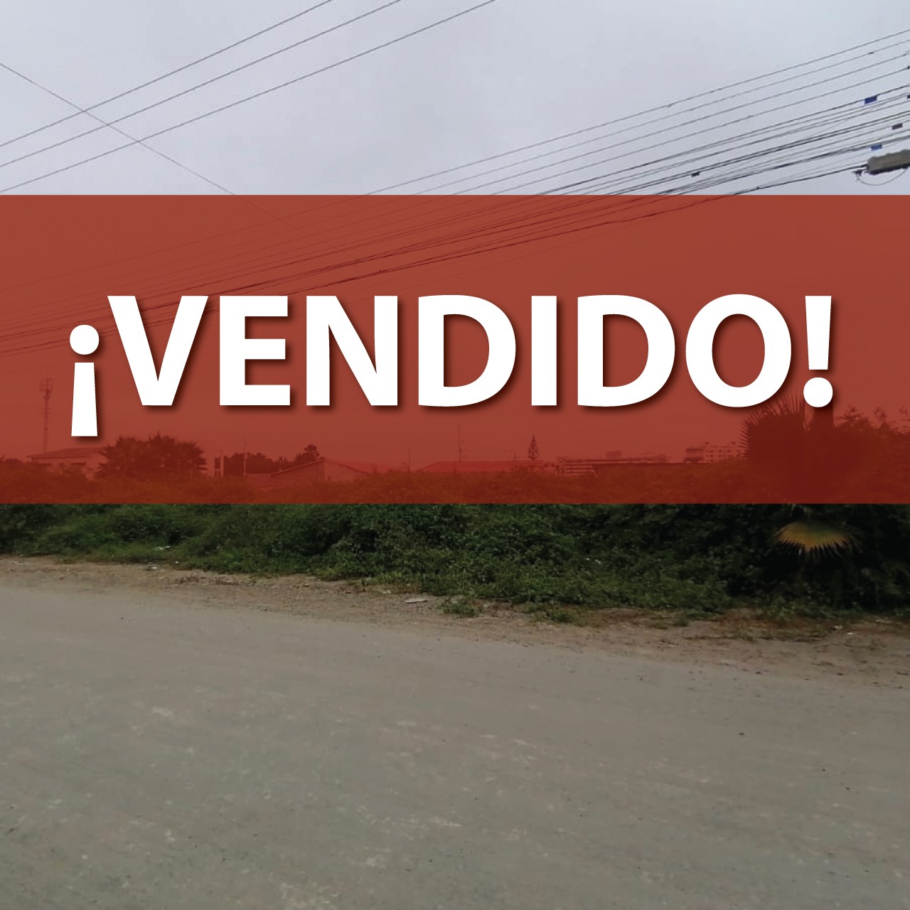 Concluido